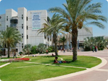 בית הספר לאמנות, חברה ותרבות ספיר 
