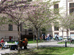 Masaryk University - צ'כיה