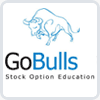 Go Bulls