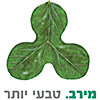 מירב בית הספר לרפואה משלימה