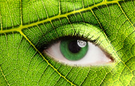 רואים לך בעיניים - לימודי אירידולוגיה