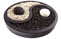 קורס ברפואה משלימה או תואר ברפואה משלימה?