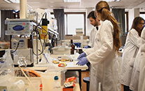 תוכנית לימודים חדשה במדעי הרפואה 