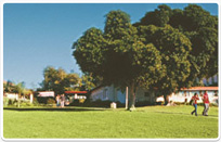 מעונות - המרכז האקדמי רופין