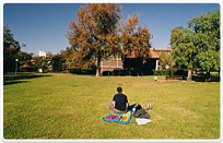 מעונות הפקולטה לחקלאות ברחובות 