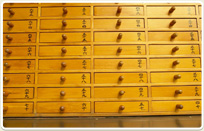 לימודי לוגיסטיקה 