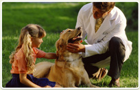 לימודי וטרינריה