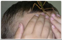 עולם החיות בטיפול ושיקום