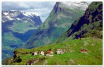 מכללת בית ברל הוסמכה כקמפוס ירוק