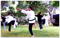 לימודי הרפואה המשלימה עולים כיתה