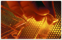 הנדסאי או מהנדס? והפעם בתחום הביוטכנולוגיה