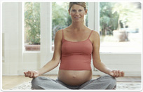 הכשרת דולות בגליל המערבי