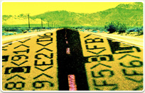 סיימת לימודי תואר ראשון בתקשורת, מה עכשיו?!