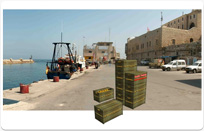 חוויה יפואית בנמל   