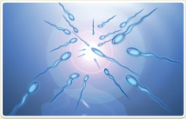 לימודי ביולוגיה 