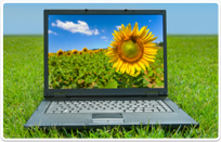 לנהל את המידע