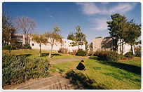 מעונות האוניברסיטה העברית