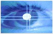 הכל על המתא