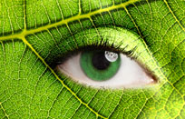 רואים לך בעיניים - לימודי אירידולוגיה