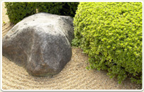 על מקצוע אדריכלות נוף ממקור ראשון...