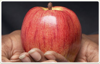 לחיות נכון- יועץ בכיר לאורח חיים נכון ובריא