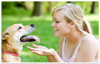 לראשונה בארץ: תכנית מיוחדת ללימודי תואר שני בבריאות ציבור וטרינרית